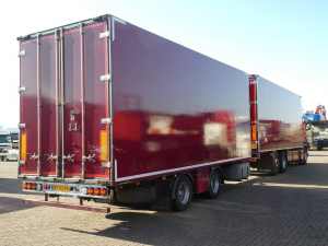 PACTON - FLOWERS COMBI