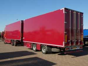 PACTON - FLOWERS COMBI