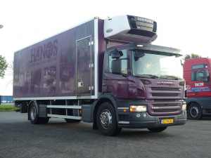 SCANIA - P230