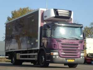 SCANIA - P230