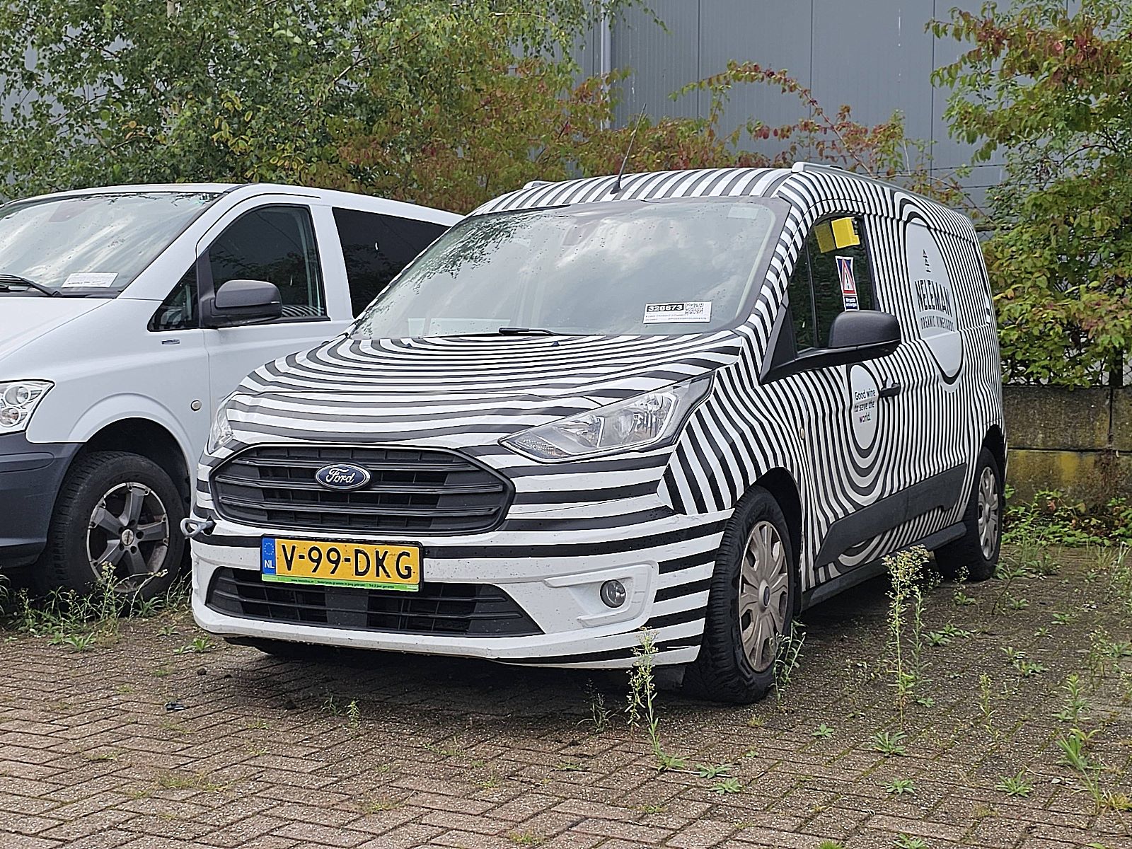 HLV